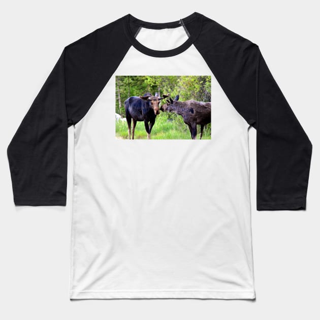 Young Moose Brothers Photograph Baseball T-Shirt by Leslie Pino Durant